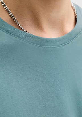 JACK&JONES JJECORP - 12151955 Erkek Çok Renkli Baskılı T-Shirt