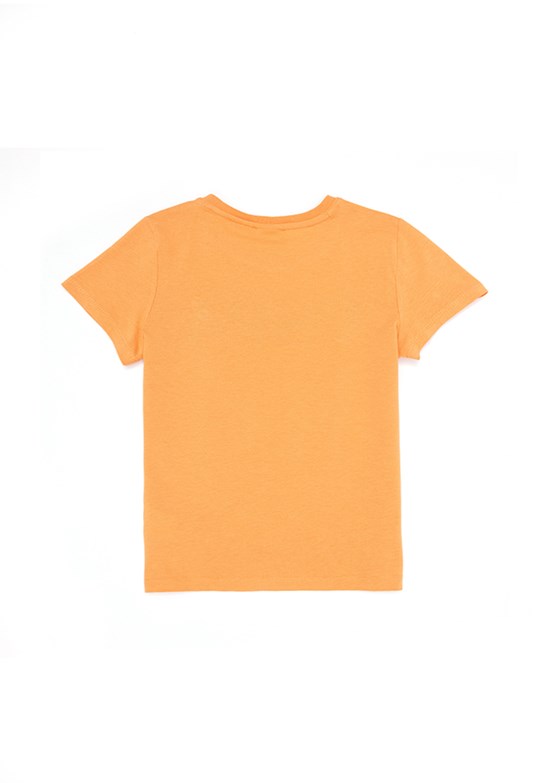 U.S. Polo Assn Erkek Çocuk Basic T-Shirt