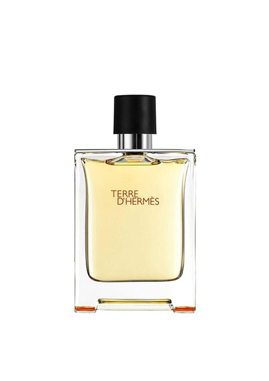 HERMES Terre D'Hermes Edp 75 Ml Erkek Parfüm