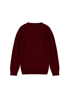 US POLO ASSN Bordo Erkek Çocuk Basic Kazak