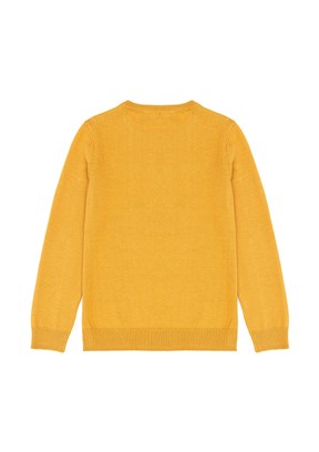 US POLO ASSN Erkek Çocuk Sarı Basic Kazak