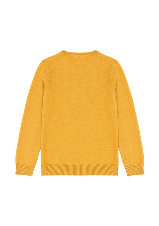 US POLO ASSN Erkek Çocuk Sarı Basic Kazak