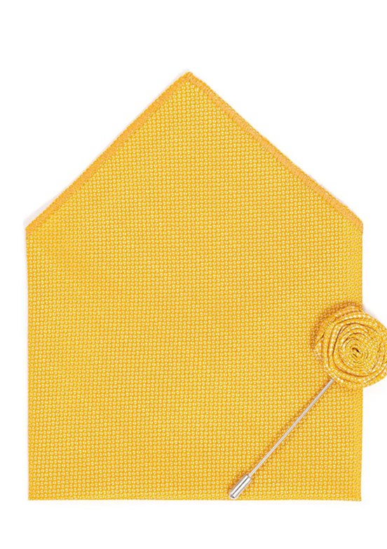 PİERRE CARDİN Erkek Sarı Kravat&Papyon Takımı