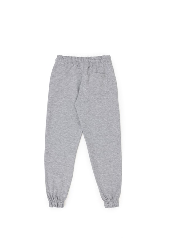 U.S. Polo Assn Gri Erkek Çocuk Regular Pantolon