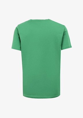 U.S. Polo Assn Yeşil Erkek Basic T-Shirt
