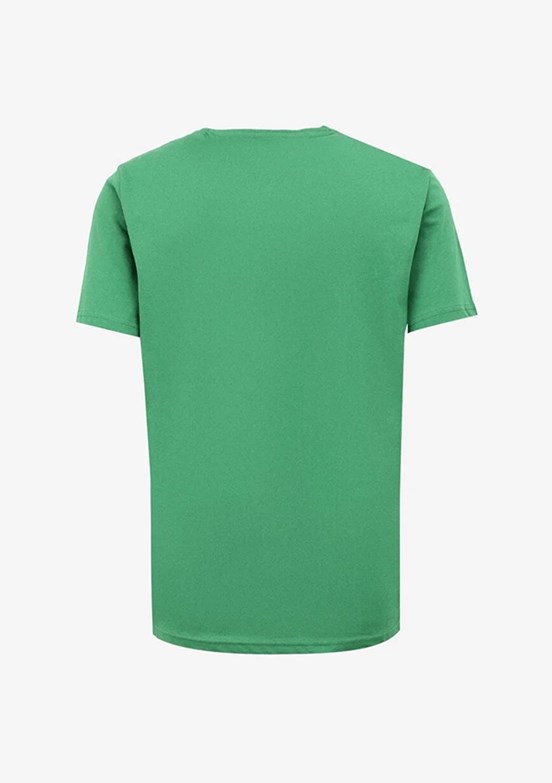 U.S. Polo Assn Yeşil Erkek Basic T-Shirt
