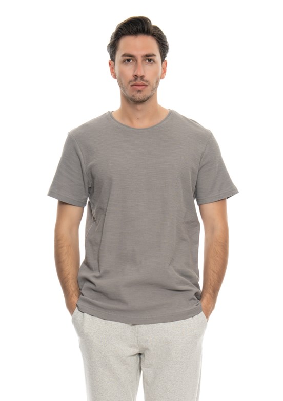 Johnny Joe Gri Erkek Bisiklet Yaka T-Shirt