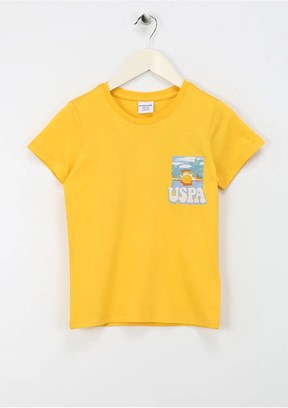 U.S. Polo Assn Erkek Çocuk Regular T-Shirt