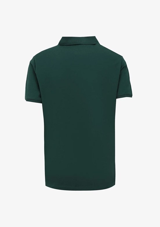 U.S. Polo Assn Yeşil Erkek Basic T-Shirt