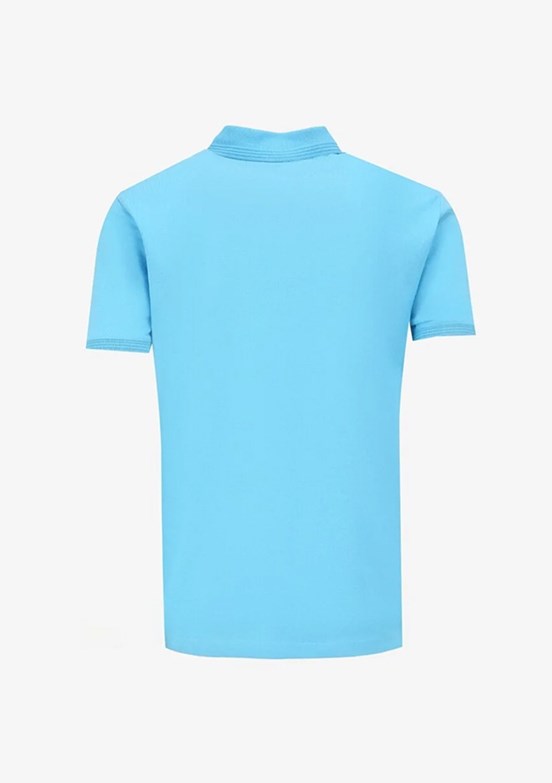 Pierre Cardin Mavi Erkek Basic T-Shirt