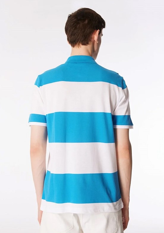 U.S. Polo Assn Erkek Regular T-Shirt