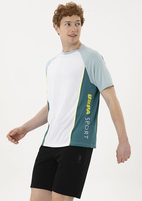 U.S. Polo Assn Çok Renkli Erkek Regular T-Shirt
