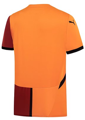 Puma Unisex Galatasaray İç Saha Forması