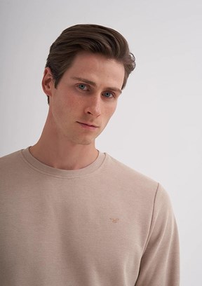 CAZADOR CAZ 5153 - 24KCEEO05153 Erkek Bej Regular Sweatshirt