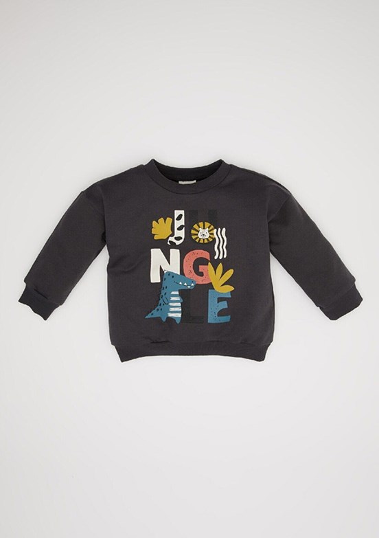 Defacto Anthracite Erkek Bebek Bisiklet Yaka Sweatshirt