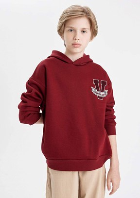 DEFACTO Çok Renkli Erkek Çocuk Kapüşonlu Sweatshirt