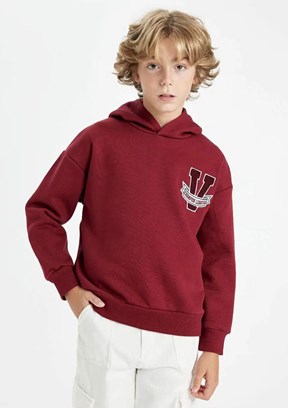 DEFACTO Çok Renkli Erkek Çocuk Kapüşonlu Sweatshirt