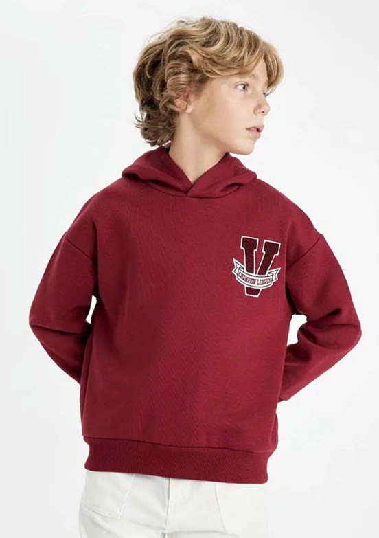 DEFACTO Çok Renkli Erkek Çocuk Kapüşonlu Sweatshirt