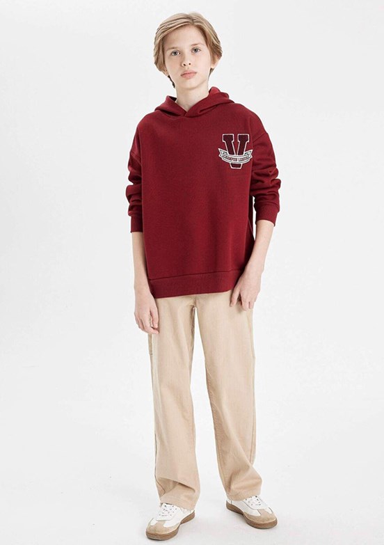 DEFACTO Çok Renkli Erkek Çocuk Kapüşonlu Sweatshirt