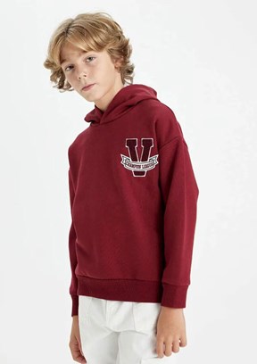 DEFACTO Çok Renkli Erkek Çocuk Kapüşonlu Sweatshirt