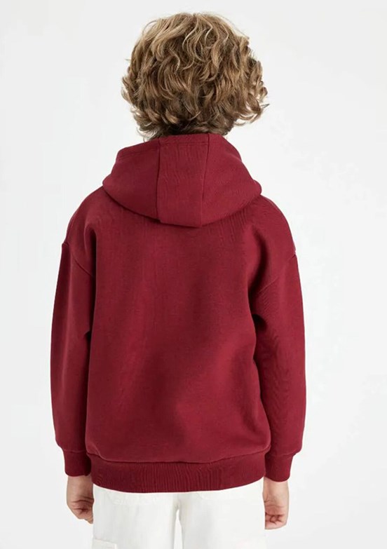 DEFACTO Çok Renkli Erkek Çocuk Kapüşonlu Sweatshirt