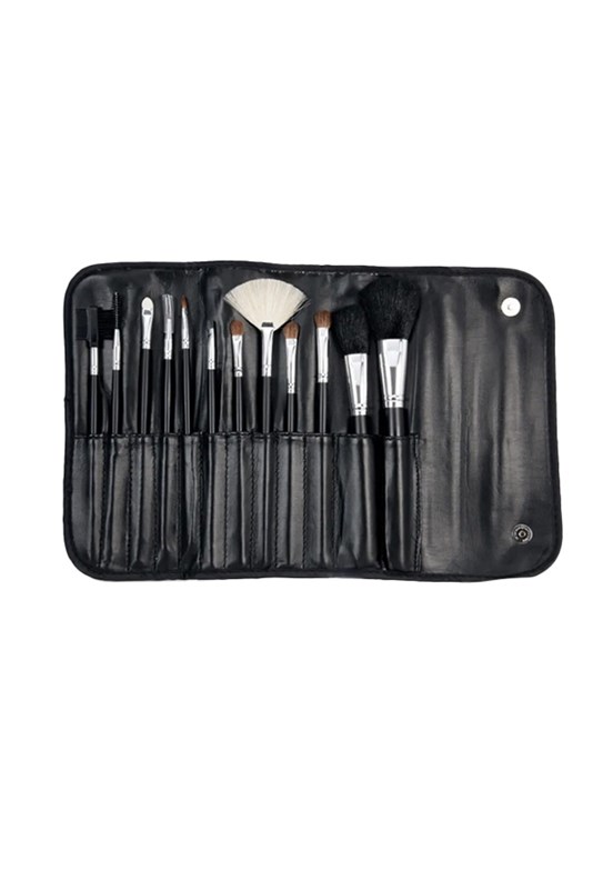 Lionessa Unisex Makyaj Fırçası Set