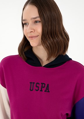 US POLO ASSN Pembe Kadın Regular Sweatshirt