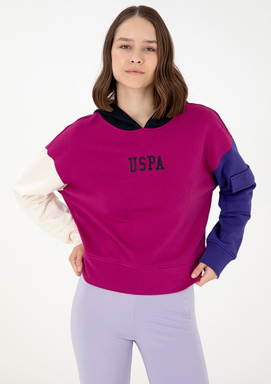 US POLO ASSN Pembe Kadın Regular Sweatshirt