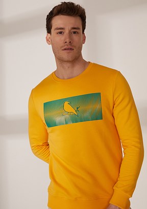 PINN, S, AMBER YELLOW