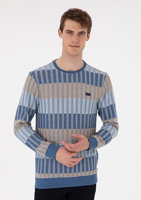 US POLO ASSN Beyaz Erkek Regular Sweatshirt