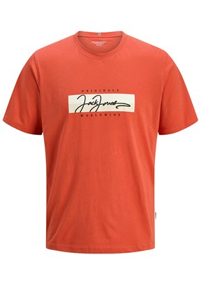 JACK JONES Çok Renkli Erkek Baskılı T-shirt