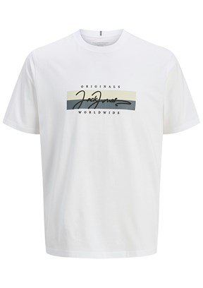 JACK JONES  Erkek Baskılı T-shirt