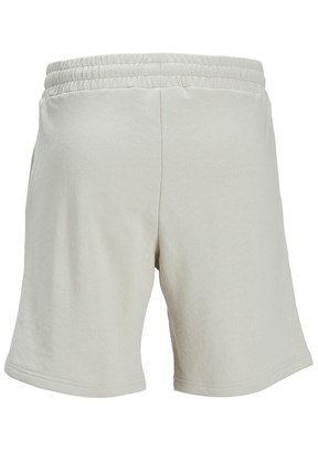 JACK JONES Çok Renkli Erkek Basic Şort