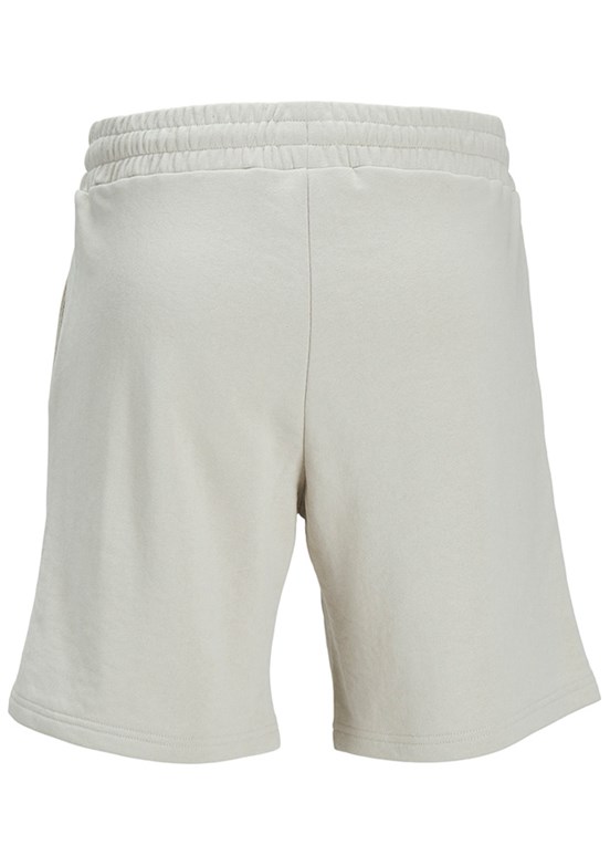 JACK JONES Çok Renkli Erkek Basic Şort
