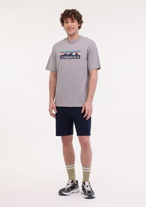 LUMBERJACK ML Roger 11OTD2-31 5FX Gri Erkek Kısa Kol T-shirt