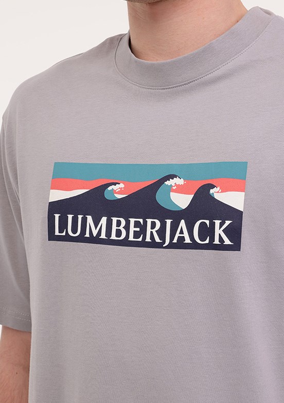 LUMBERJACK ML ROGER 11OTD2-31 5FX Gri Erkek Kısa Kol T-Shirt