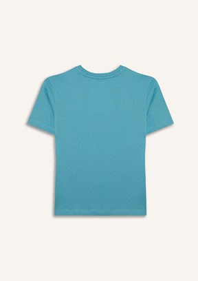 DEFACTO Mavi Erkek Çocuk Kısa Kol T-Shirt