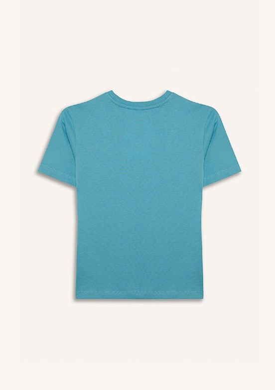 DEFACTO Mavi Erkek Çocuk Kısa Kol T-Shirt