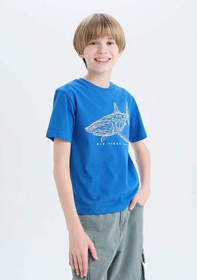 DEFACTO Çok Renkli Erkek Çocuk Kısa Kol T-Shirt
