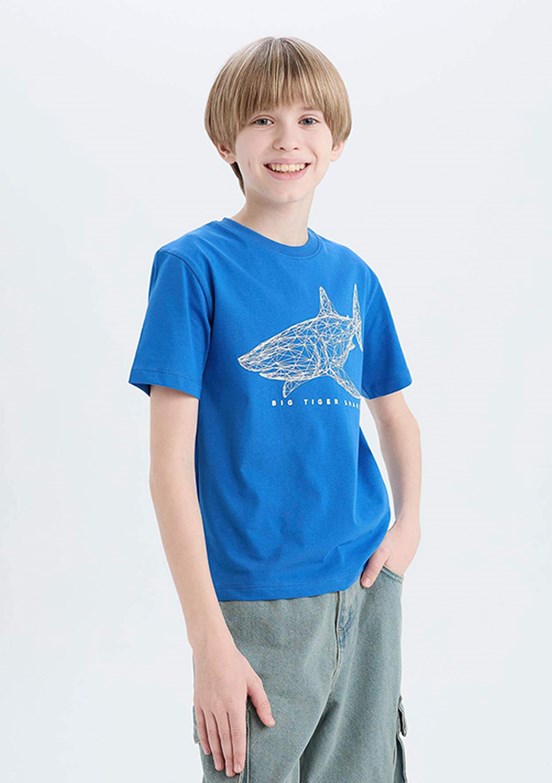 DEFACTO Çok Renkli Erkek Çocuk Kısa Kol T-Shirt