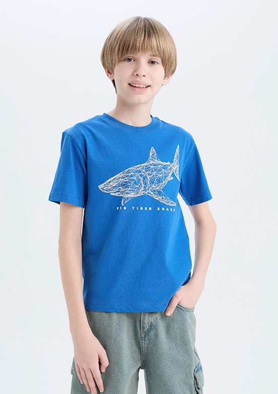 DEFACTO Çok Renkli Erkek Çocuk Kısa Kol T-Shirt