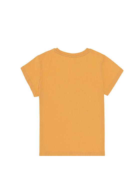 US POLO ASSN Turuncu Erkek Çocuk Basic T-Shirt