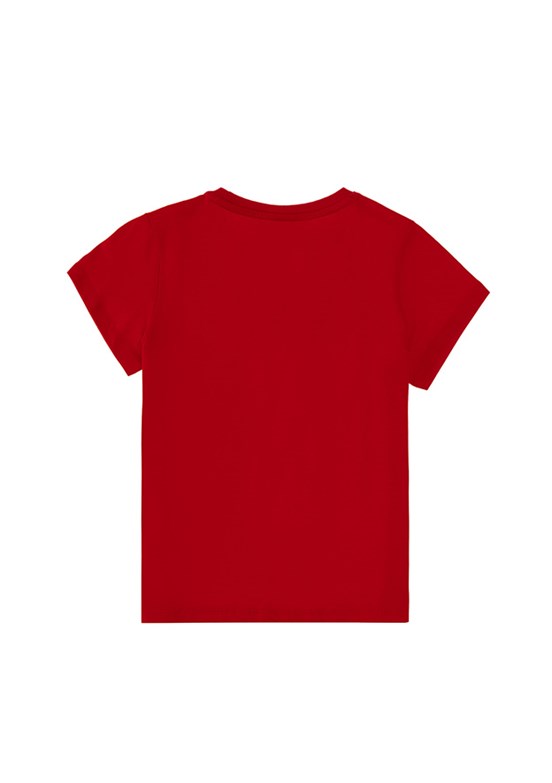 US POLO ASSN Kırmızı Erkek Çocuk Basic T-Shirt