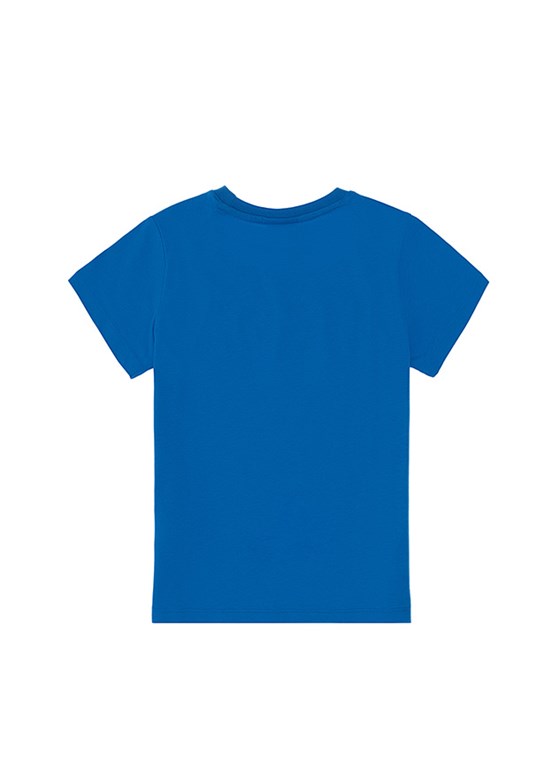 US POLO ASSN Çok Renkli Erkek Çocuk Basic T-Shirt