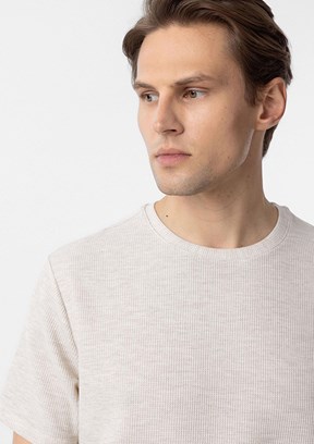 SÜVARİ Bej Erkek O Yaka T-Shirt