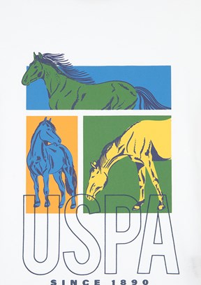 US POLO ASSN Beyaz Erkek Çocuk Regular T-Shirt