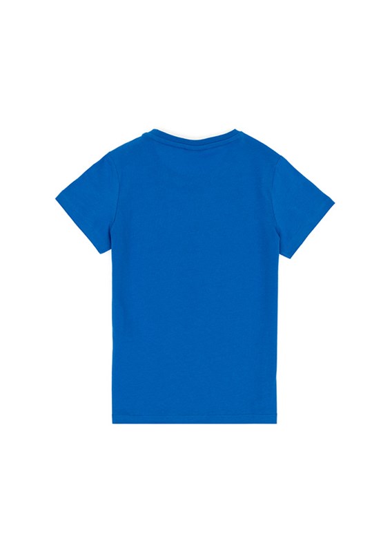 US POLO ASSN Çok Renkli Erkek Çocuk Regular T-Shirt
