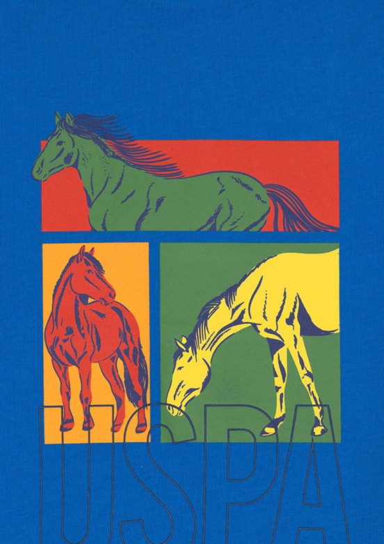 US POLO ASSN Çok Renkli Erkek Çocuk Regular T-Shirt
