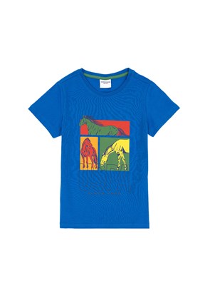 US POLO ASSN Çok Renkli Erkek Çocuk Regular T-Shirt