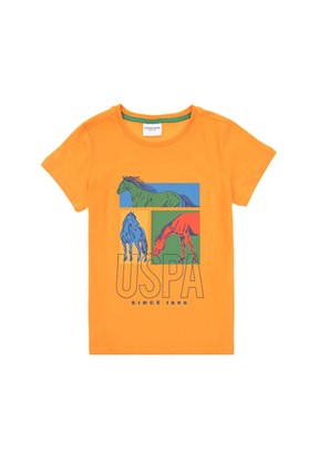 US POLO ASSN Turuncu Erkek Çocuk Regular T-Shirt